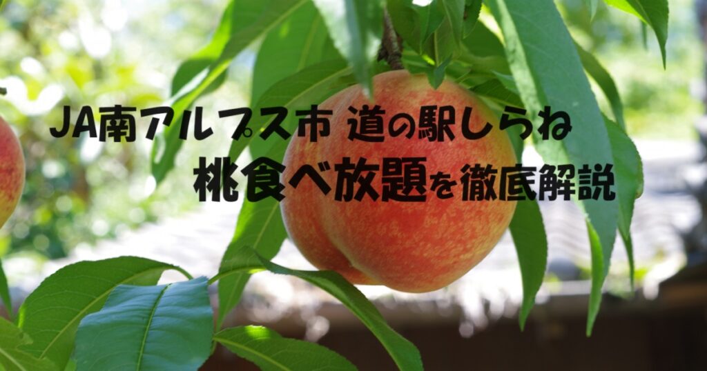 JA南アルプス市 道の駅しらねで開催の桃食べ放題の楽しみ方