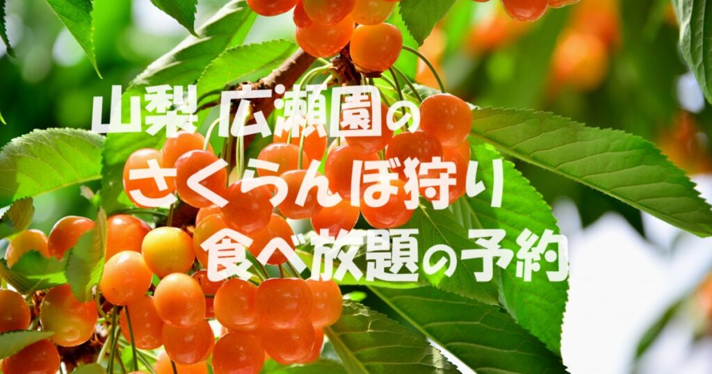 山梨 広瀬園のさくらんぼ狩り 食べ放題をしたい方の予約方法