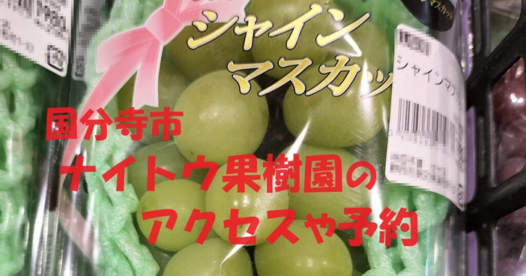 国分寺市・ナイトウ果樹園のアクセスや予約をどこよりも詳しく解説
